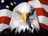 United States Flag with Eagle